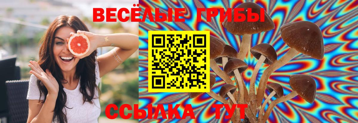 Псилоцибиновые грибы мицелий Назарово